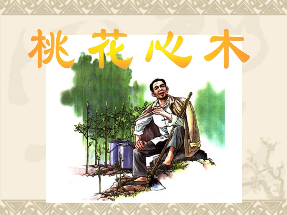人教六下《3_桃花心木》课件__1_第2页