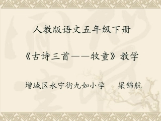 人教六下《3_桃花心木》课件__1