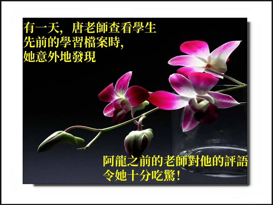 绘本故事一爱的故事_第3页