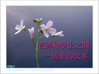 绘本故事一爱的故事