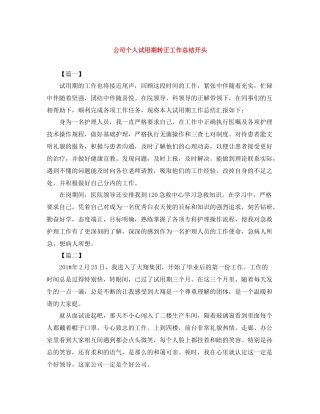 公司个人试用期转正工作总结开头