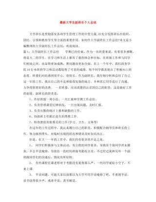 大学生副班长个人总结