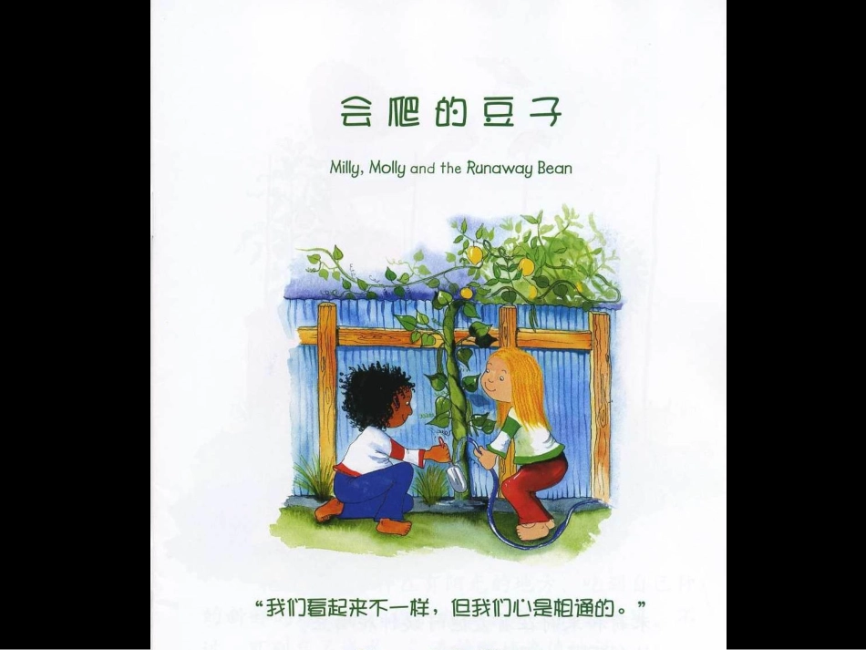 会爬的豆子课件_第2页