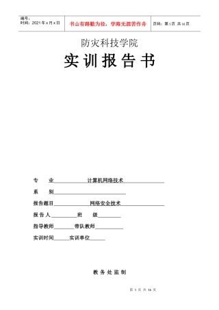 网络安全技术报告书