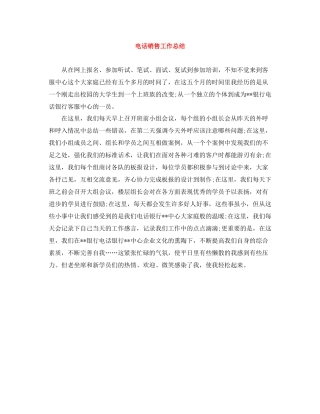 电话销售工作总结2