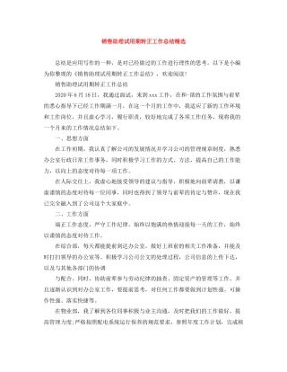 销售助理试用期转正工作总结精选
