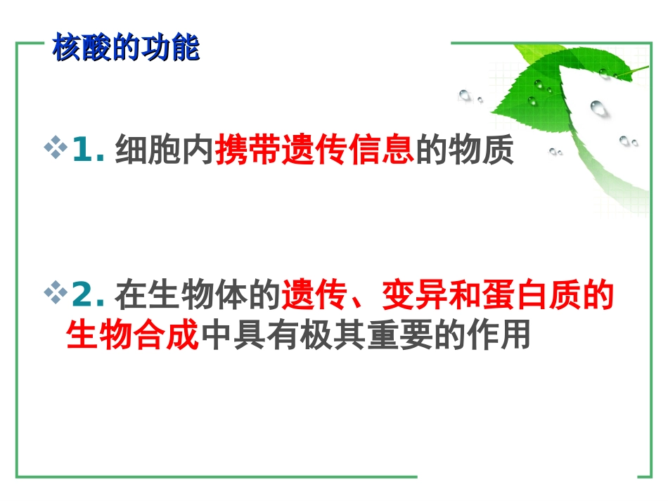 遗传信息的携带者-核酸_第3页