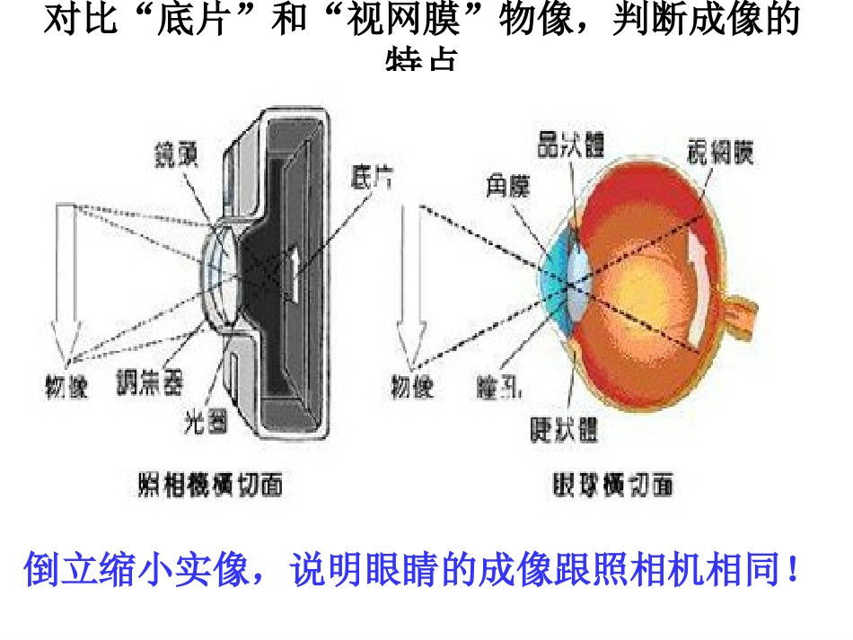 眼睛和眼镜教学课件_第3页
