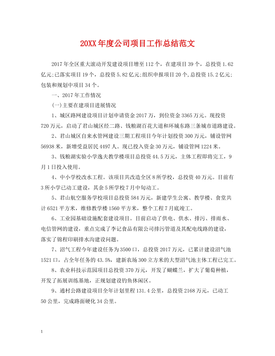 公司项目工作总结范文_第1页