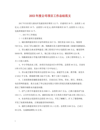 公司项目工作总结范文