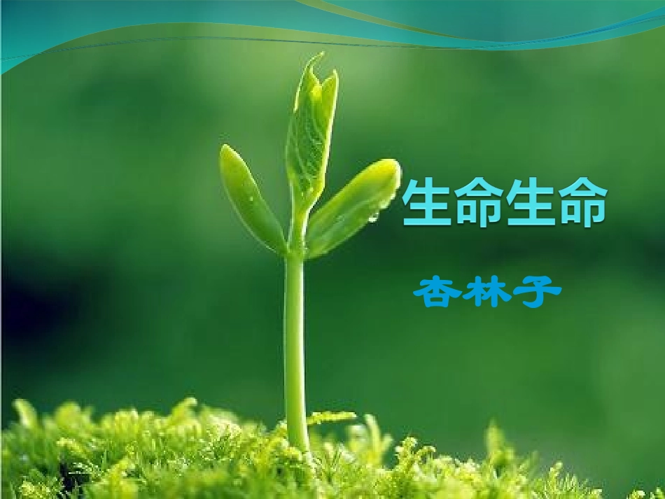 生命生命(完美版)_第1页