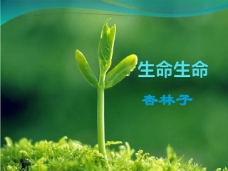 生命生命(完美版)