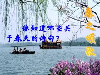 满井游记课件
