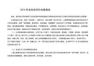 安全性评价自查报告