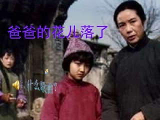 《爸爸的花儿落了》课件