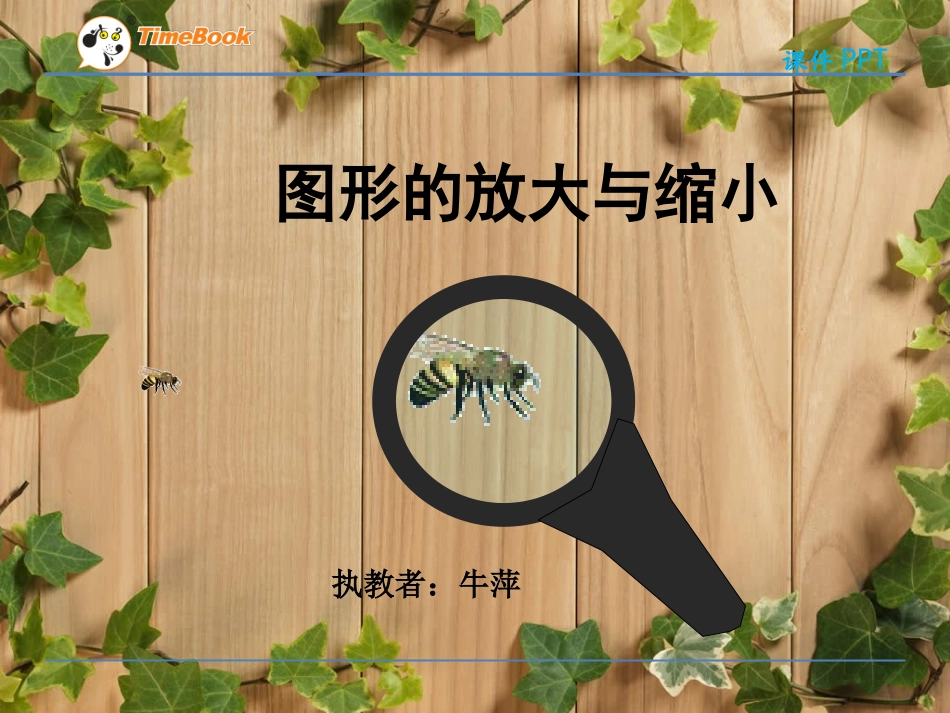 图形的放大与缩小 (3)_第3页