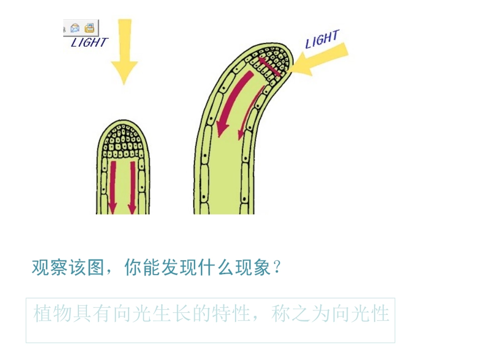 神奇的激素2003_第2页