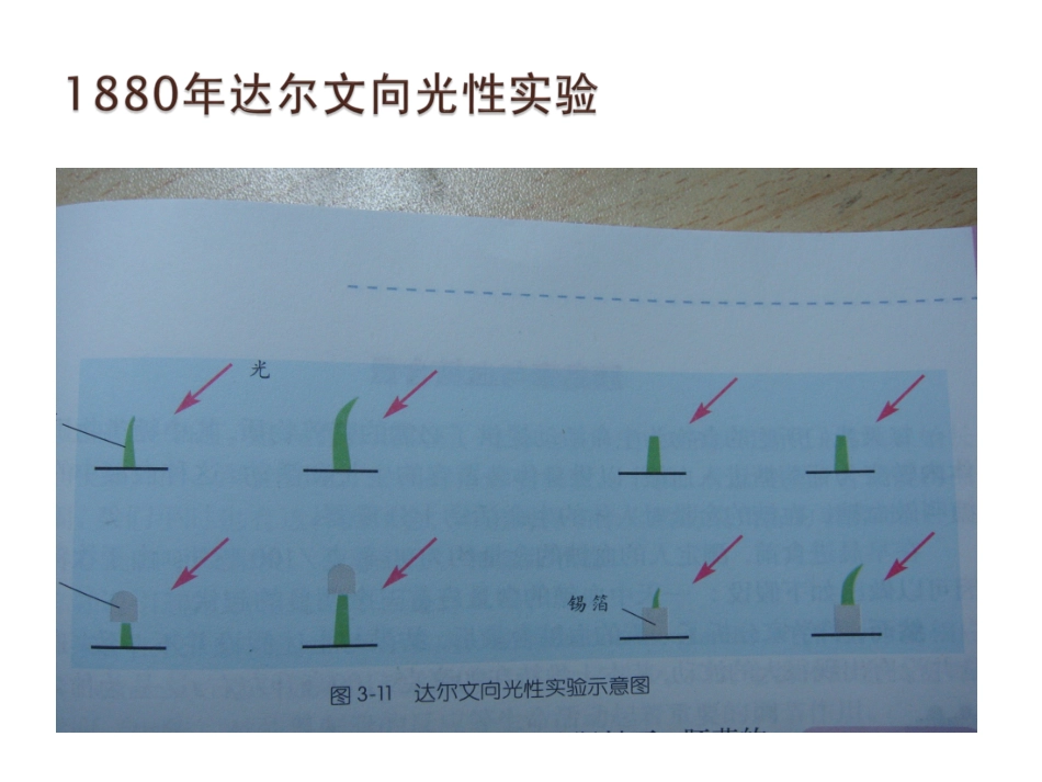 神奇的激素2003_第3页