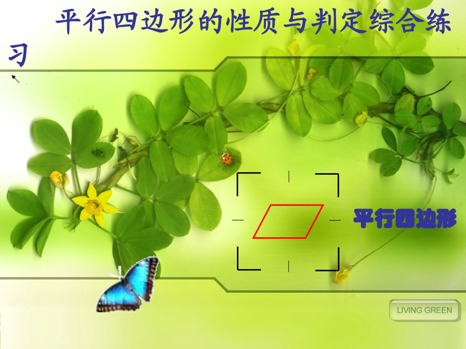 平行四边形综合练习_第1页