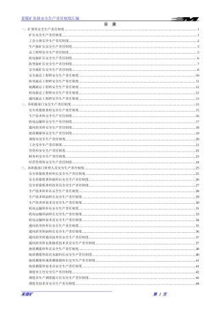 防突矿井安全生产责任制(2018)