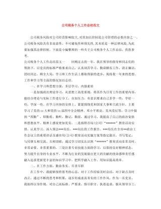 公司税务个人工作总结范文
