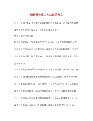 销售员年度工作总结的范文