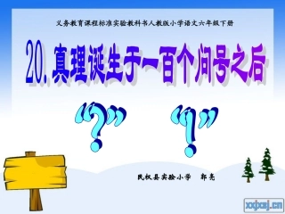 真理诞生于一百个问号之后