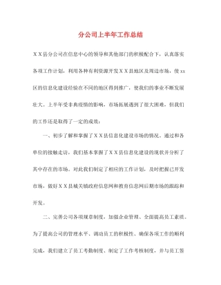 分公司上半年工作总结