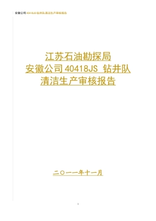 418清洁生产审核报告(最新的)
