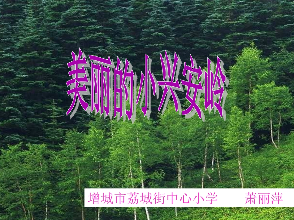 《美丽的小兴安岭》_第1页