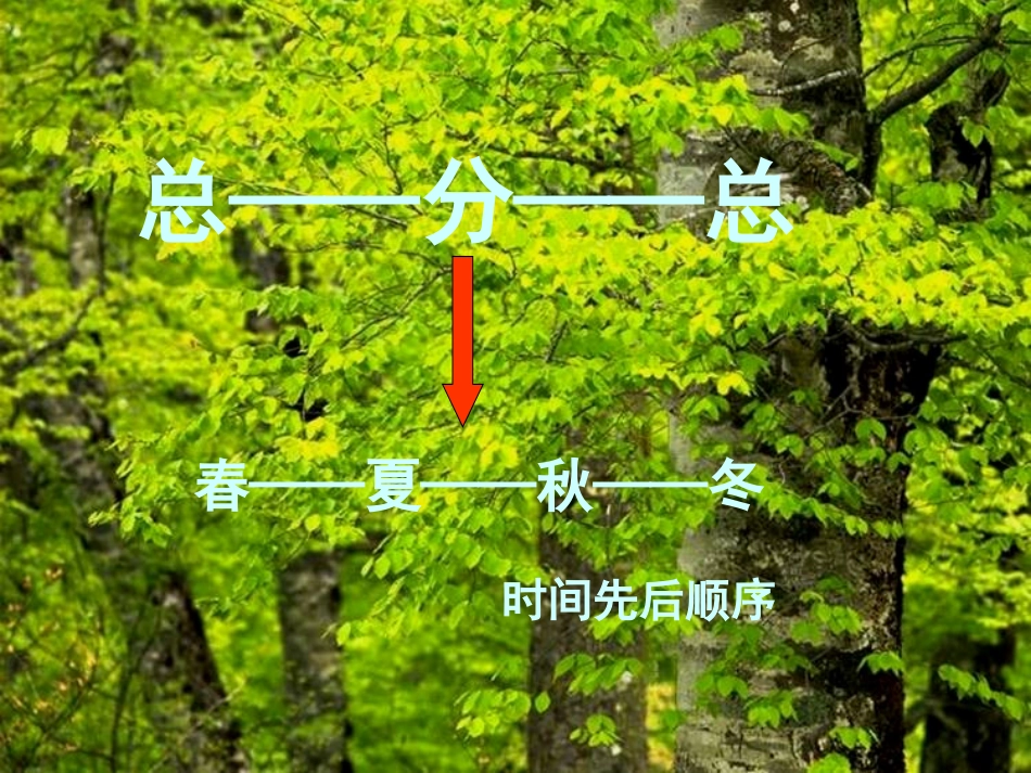 《美丽的小兴安岭》_第2页