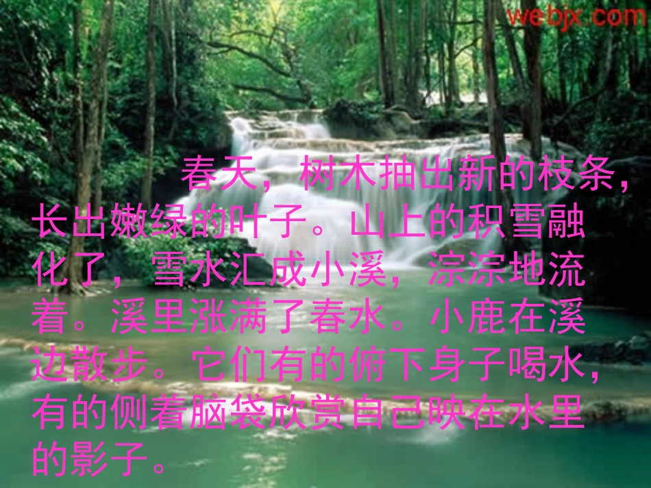 《美丽的小兴安岭》_第3页