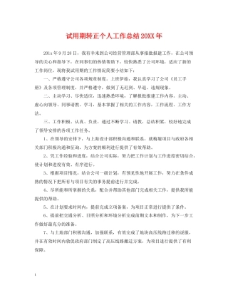 试用期转正个人工作总结3