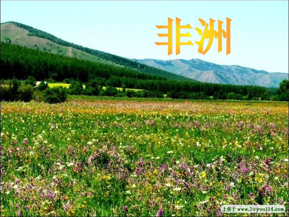 彩色的非洲课件 (2)_第2页