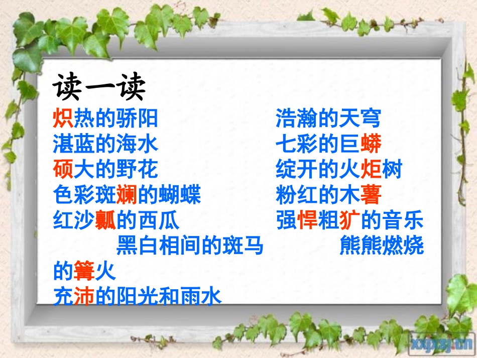 彩色的非洲课件 (2)_第3页