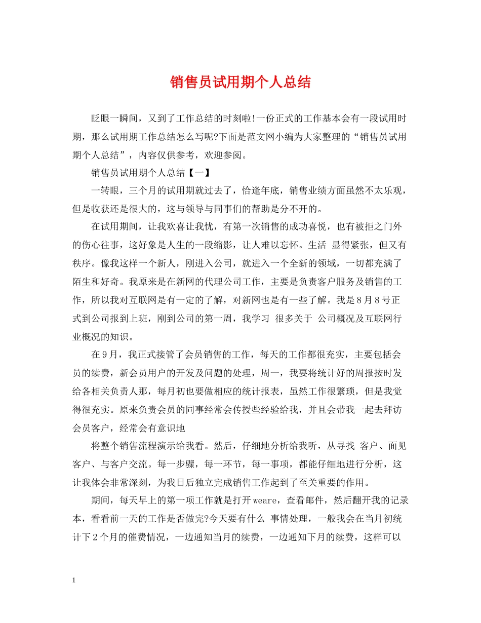 销售员试用期个人总结_第1页