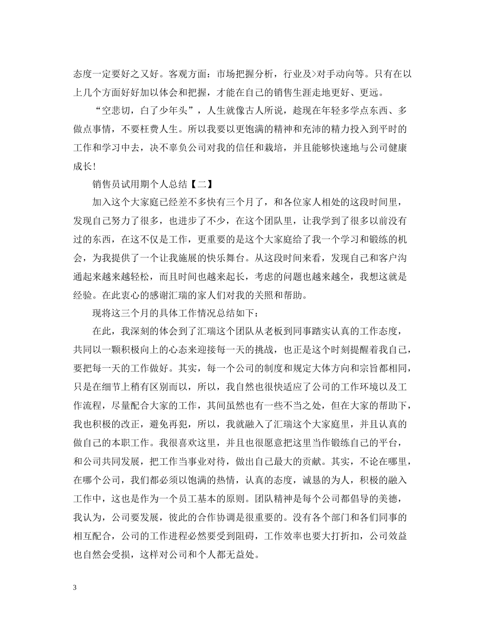 销售员试用期个人总结_第3页