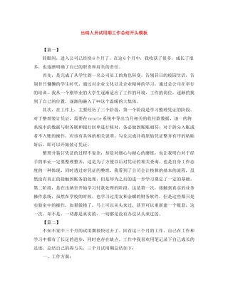 出纳人员试用期工作总结开头模板