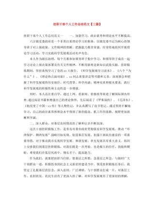 挂职干部个人工作总结范文【三篇】