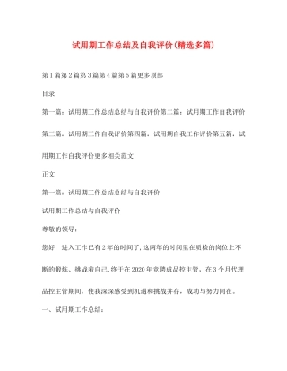 试用期工作总结及自我评价精选多篇)