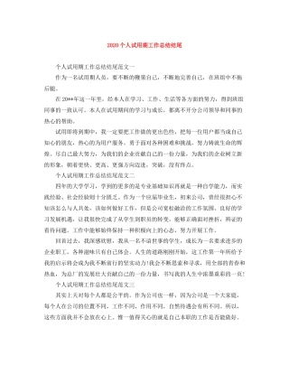 个人试用期工作总结结尾