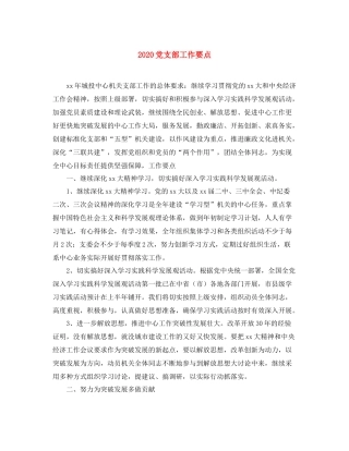 党支部工作要点