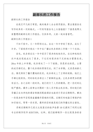 副部长的工作报告