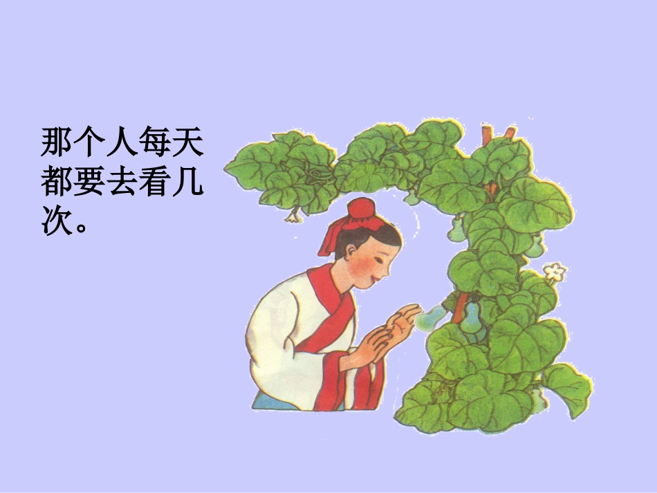 《我要的是葫芦》_第3页