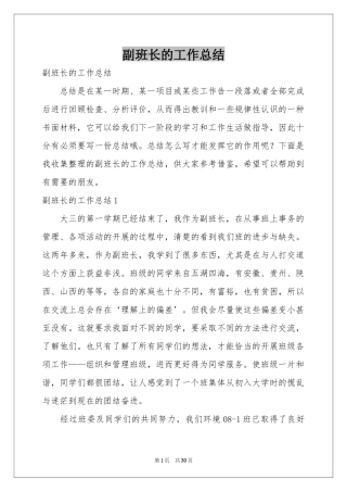 副班长的工作参考总结