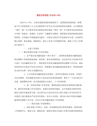 集团支部党建工作总结