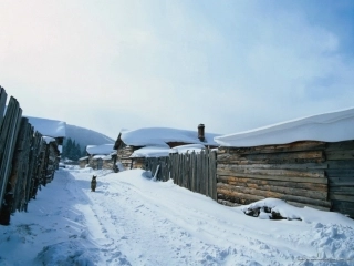 雪地里的小画家2
