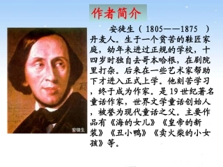 卖火柴的小女孩 (3)