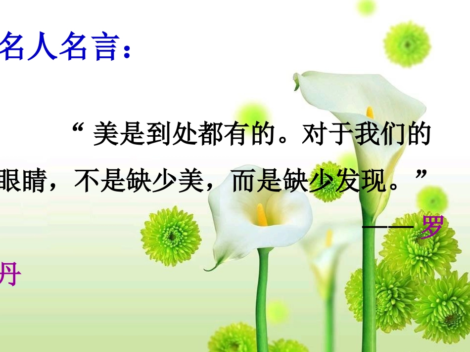 《全神贯注》课件 ()_第2页