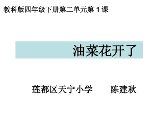 四下二1油菜花开了陈建秋 (2)